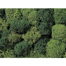 Noch 8610 Liken, Yeşil Tonları, 35 Gram Diorama Malzemesi