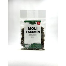 Moli Yasemin 50GR