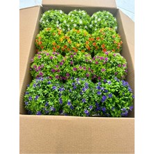 FB Cup 12'li Karışık Renk Yapay Çiçek Seti - Ev, Ofis, Kafe ve Restoran Dekorasyonu Için