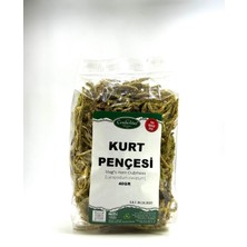 Kurt Pençesi Otu 40GR