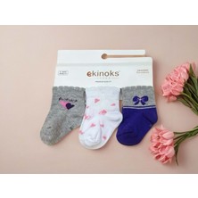 Ekinoks Honey Kalpli Üçlü Bebek Çorap - RYZEÇ029 - Gri - 12 - 18 Ay Gri