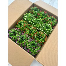 FB Cup 12'li Saksılı Yapay Çiçek ve Bitki Seti - Cafe Restoran Masa Üstü Dekor