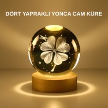 Novytech Dekoratif Yonca Görünümlü Işıklı Kristal Cam Küre USB Masa Gece Lambası - Lisinya