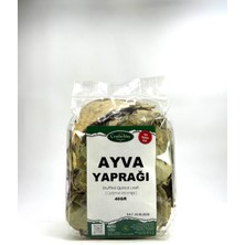 Ayva Yaprağı 40GR