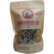 Kademgiller Meryem Ana Eli 60 gr