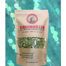 Kademgiller Çoban Çökerten Çayı