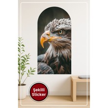 KOSS Dijital Oval Şekilli Kartal Desenli Sticker Güçlü Bakışlı Detaylı Sanatsal Doğal Temalı Duvar Sticker