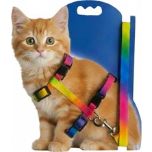 Phenora Kedi Tasması – Ayarlanabilir Dayanıklı Evcil Hayvan Tasması 1.20M