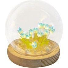 Eco Lounge LED Işıklı Lale Cam Küre