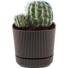 2 No Pera Kare Saksı 1,2 Litre K242