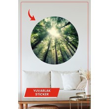 KOSS Dijital Güneş Işığı ve Orman Detaylı Yuvarlak Sticker Doğa Temalı Dekoratif Duvar Süsü