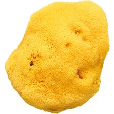 Okbaby İnce Dokulu Doğal Banyo Süngeri / Büyük