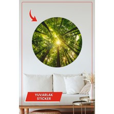 KOSS Dijital Güneş Işığıyla Aydınlanan Yeşil Orman Yuvarlak Sticker Doğa Temalı Dekoratif Duvar Süsü