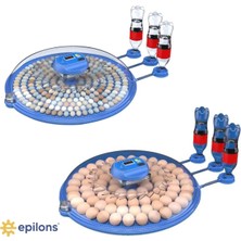 Epilons 80/240 Kapasiteli Çift Viyollü Kuluçka Makinesi Kaz Ördek Tavuk Bıldırcın Kuşlar Için