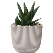 3 No Mercan Kare Saksı 1,8 Litre K383