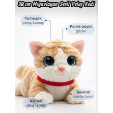 Top Rock Store Sevimli Kedi Peluş Yavru Kedi Sesli Miyavlayan Peluş Kedi Uyku Arkadaşı 30 cm