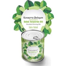 Essemag® Konserve Bahçem Evde Konservede Sakız Kabak Yetiştirme Kiti