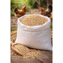 Hamtane Tavuk Yemi 20 kg | Darı – Çeltik – Kırık Pirinç Karışımı | Doğal