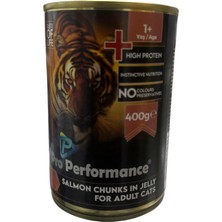 Pro Performance Somonlu Yetişkin Kedi Konservesi 400 gr