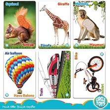 Storemax Toys Dokun Hisset Orman Hayvanları ve Araçlar