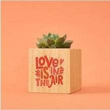 Storemax Tasarımlı Aşk Hediye Kutusu