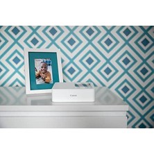 Storemax Dsc P-36LP Ribon Baskı Seti