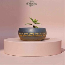 Beton Bonsai&salon Bitkisi Saksısı/ Bitkitürk Özel Tasarım