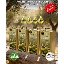Olives Memecik Domat Yeşil Zeytin Erken Hasat Soğuk Sıkım Premium Zeytinyağı 20 Lt (5 Lt x 4 Teneke) (486 Polifenol)