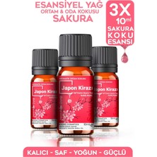 Evove Cosmetics Esansiyel Yağ Japon Çiçeği Sakura Oda Kokusu 3 Adet 10 ml Set Aromatik Buhardanlık Difüzör Uçu Yağ