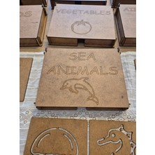 Boyama Şablon Seti Deniz Canlıları