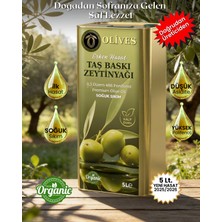 Olives Memecik Domat Yeşil Zeytin Erken Hasat Soğuk Sıkım Premium Zeytinyağı 5 Lt Teneke (486 Polifenol)