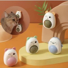 Demirhan Panda Model Catnip Yalama Topu Kedi Otu Kedi Oyuncağı