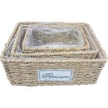 Steplya  Dikdörtgen Doğal Hasır Saksı Seti - 3'lü 1126778