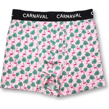 Carnaval Socks Carnaval Flamingo Desenli Premium Pamuklu Erkek Boxer -Pembe Renkli