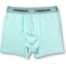 Carnaval Socks Carnaval Mint Yeşili Premium Pamuklu Erkek Boxer
