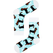Carnaval Socks Çoklu Köpek Desenli Unisex Renkli Soket Çorap