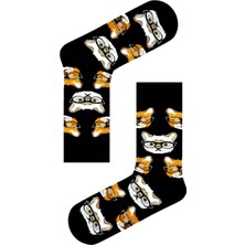 Carnaval Socks Gözlüklü Kediler Desenli Siyah Soket Çorap