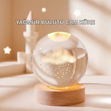 Senson 4 Bıçaklı Gıda Sınıfı Paslanmaz Çelik Taşınabilir Blender - Lisinya