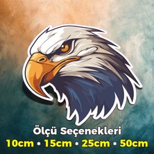 Sb Store Kartal Temalı Oto Araç Motosiklet Kask Notebook Duvar Sticker Etiket Model-39