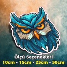 Sb Store Baykuş Temalı Oto Araç Motosiklet Kask Notebook Duvar Sticker Etiket Model-38