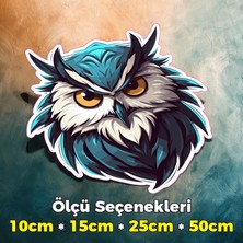 Sb Store Baykuş Temalı Oto Araç Motosiklet Kask Notebook Duvar Sticker Etiket Model-37