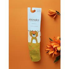 Ekinoks Hayvan Figürlü Dikişsiz Koton Erkek Çocuk Külotlu Çorap - RYZEÇ018 - Bej - 5 - 6 Yaş Bej