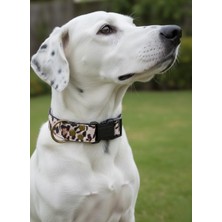 Balkonda Köpek Boyun Tasması Ayarlanabilir Tüm Irklar 2,5 cm Genişlik Kolon Kordon Leopar Desen