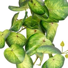 Yapay Bitki Salon Sarmaşığı Yeşil 35 Cm.