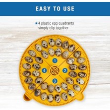 Brinsea Products Maxi Advance Kuluçka Makinesi Küçük Yumurta Çeyrek Ekleme (40 Bıldırcın Yumurtası), Sarı