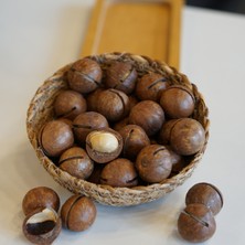 Ülkü Kuruyemiş Yeni Lezzet Makedemya Fındığı