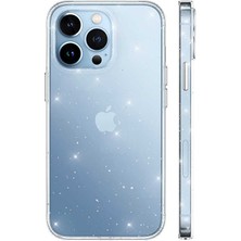 Efura iPhone 13 Pro Kılıf Efr Vixy Kapak-Renksiz