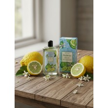 Mussa Halfetiden Kebat Kolonya