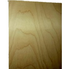 Kasnem Su Kontrası 4 mm Kalınlık (29,70 x 42,00) 2.li Paket