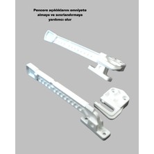 Arenes Hızlı Kurutma ve Parlak Saçlar Için Profesyonel Fırça - Lisinya